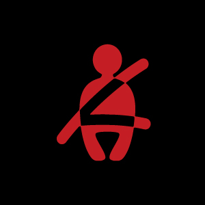 Seat Belt Indicator Warning Light