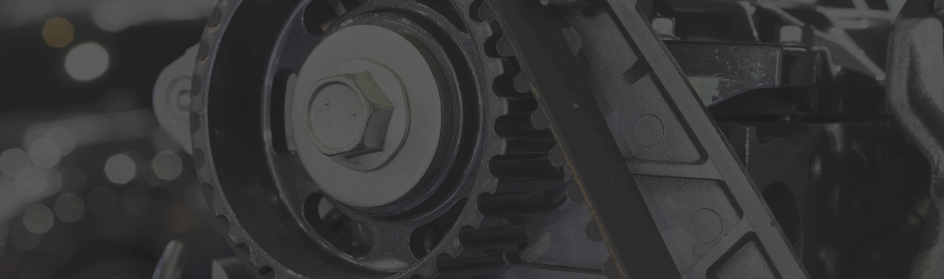 Timing Belt Service
